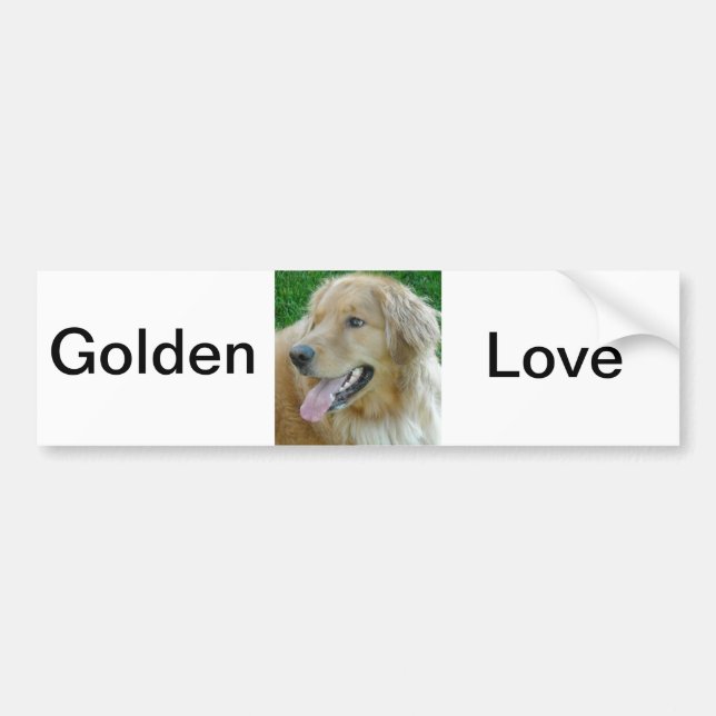 Golden Retriever Nah Autoaufkleber (Vorne)