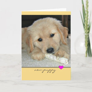 Golden Retriever Neue Welppy Grußkarte Karte