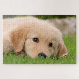 Golden Retriever Niedliche Welpenträume