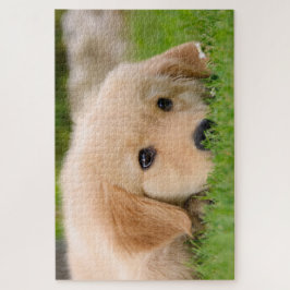 Golden Retriever Niedliche Welpenträume