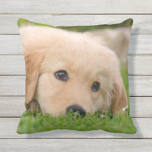 Golden Retriever Niedliche Welpenträume für Auß Kissen