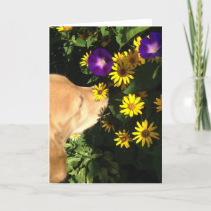 Golden retriever nimmt Zeit, die Blumen zu riechen Dankeskarte