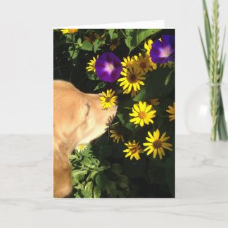 Golden retriever nimmt Zeit, die Blumen zu riechen Dankeskarte