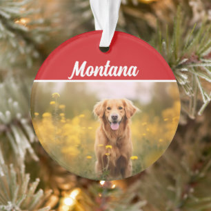 Golden Retriever Nom et fête de la photo Noël
