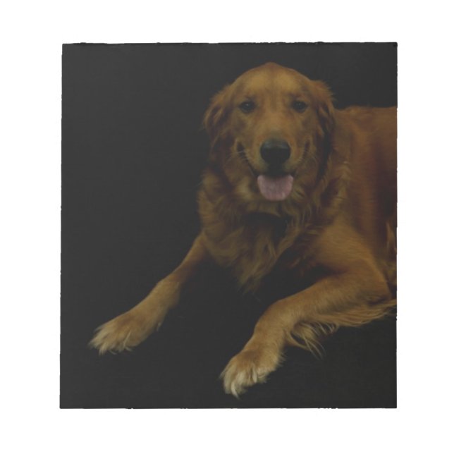Golden Retriever Notizblock (Vorderseite)