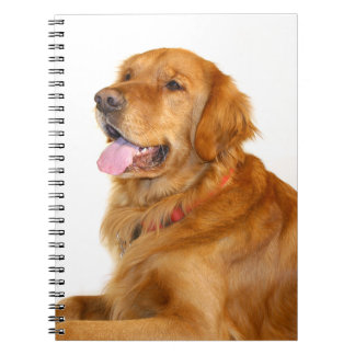 Golden Retriever Notizblock