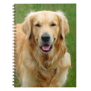 Golden retriever notizblock