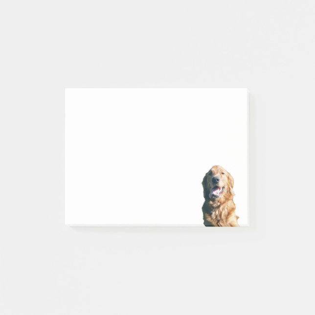 Golden retriever-Notizblock Post-it Klebezettel (Vorderseite)