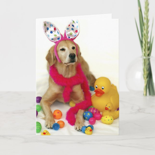 Golden retriever-Osterhase Feiertagskarte (Vorderseite)