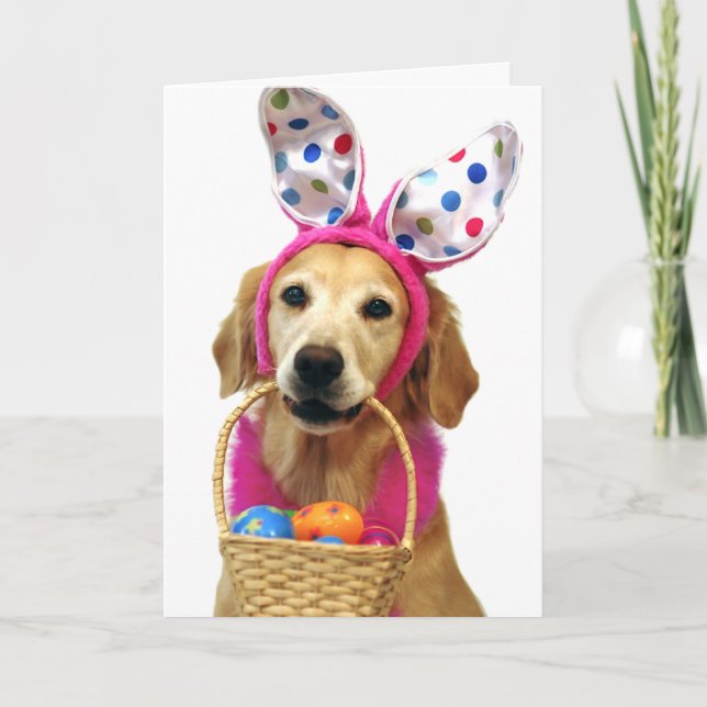Golden retriever-Osterhase Feiertagskarte (Vorderseite)