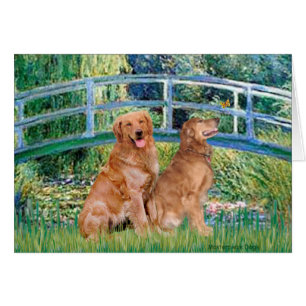 Golden Retriever Pair 1 - Pont Lily