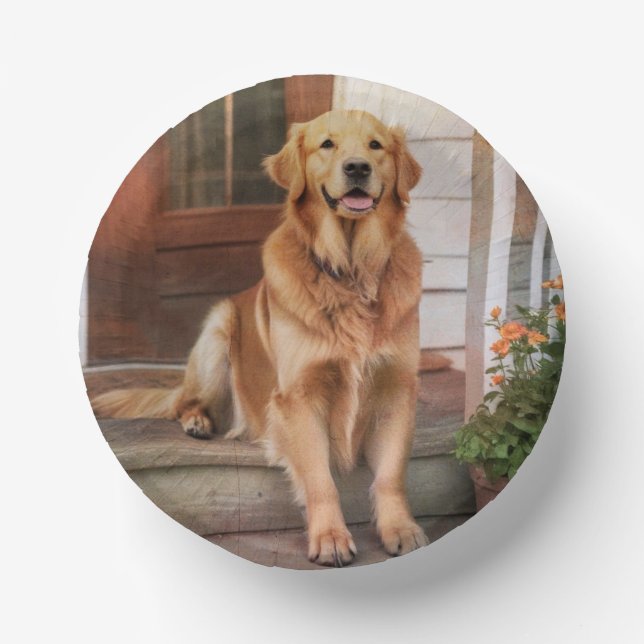 Golden Retriever Pappteller (Vorderseite)