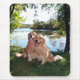 Golden retriever-Park und Fluss Mousepad