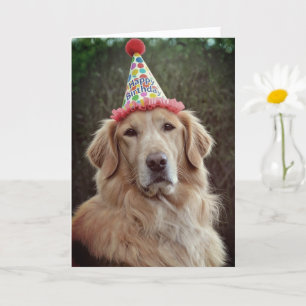 Golden Retriever & Partyhut mit Alles Gute zum Geb Karte