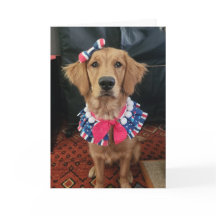 Golden Retriever Patriotic, 4. Juli Grüße