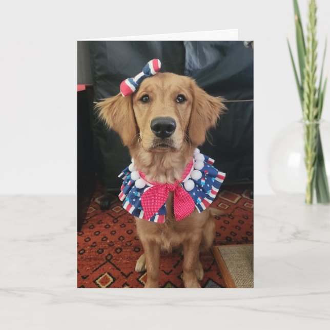 Golden Retriever Patriotic, 4. Juli Grüße Dankeskarte (Vorderseite)