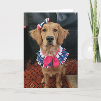 Golden Retriever Patriotic, 4. Juli Grüße Dankeskarte