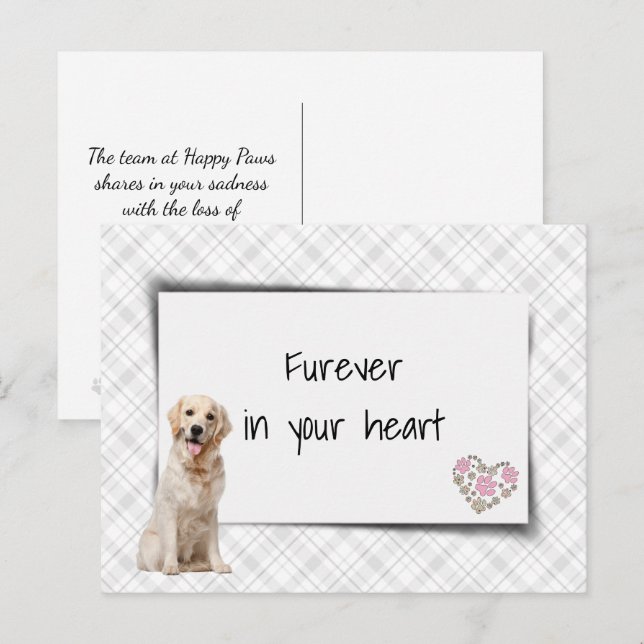 Golden Retriever Pet Beileid Loss Postkarte (Vorne/Hinten)