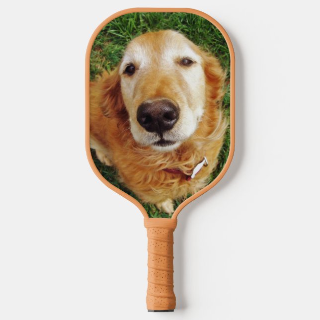 Golden Retriever Pickleball Schläger (Vorderseite)