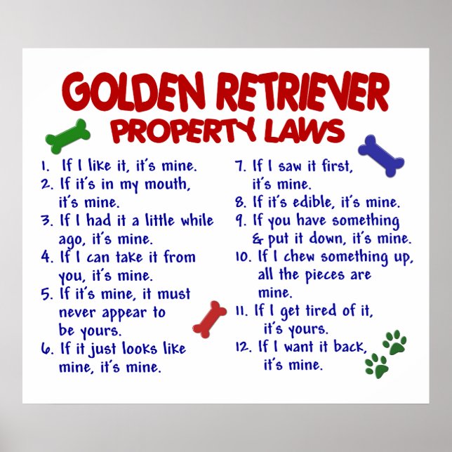 GOLDEN RETRIEVER PL2 POSTER (Vorne)