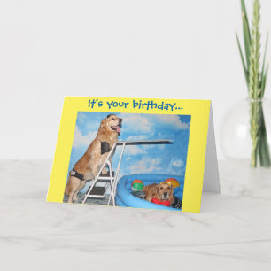 Golden Retriever Pool Party Birthday Karte