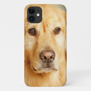 Golden Retriever Portrait Case-Mate iPhone Hülle