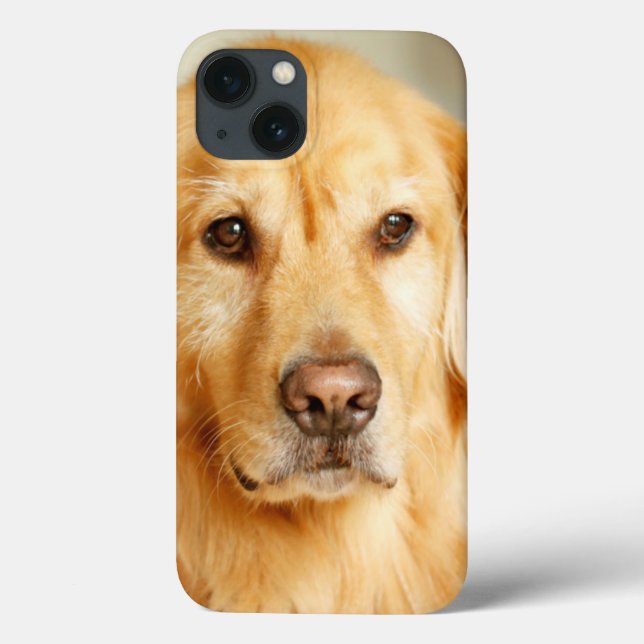 Golden Retriever Portrait Case-Mate iPhone Hülle (Rückseite)