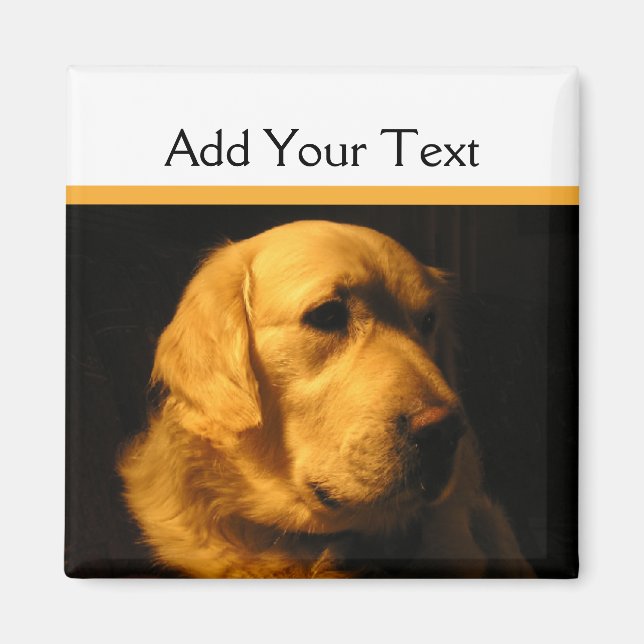 Golden Retriever Portrait Magnet (Vorne)