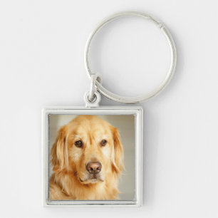 Golden Retriever Portrait Schlüsselanhänger