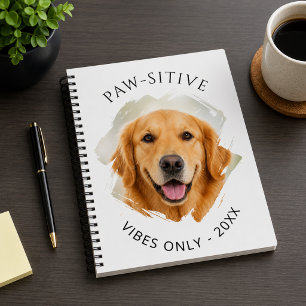 Golden Retriever Positive Vibes Foto 2027 Planer