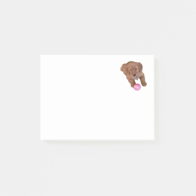 Golden retriever-Post-it-Zettel-Auflage Post-it Klebezettel (Vorderseite)