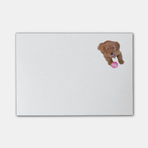 Golden retriever-Post-it-Zettel-Auflage Post-it Klebezettel