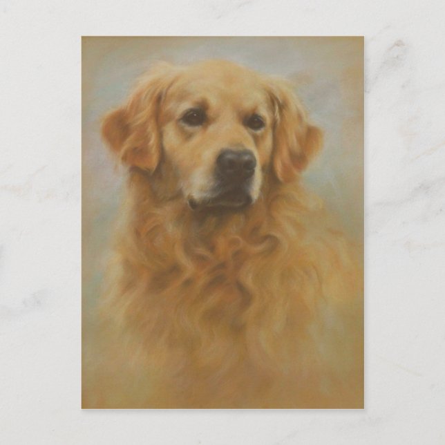 Golden Retriever Postkarte (Vorderseite)