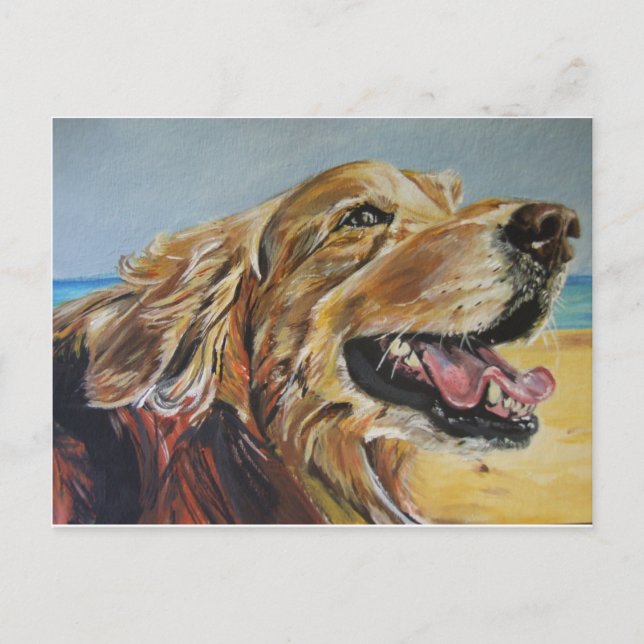 Golden Retriever Postkarte (Vorderseite)