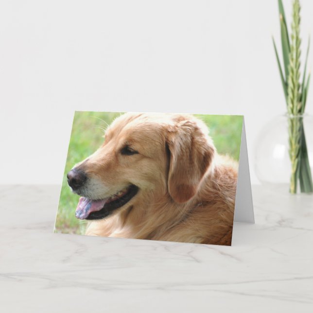Golden Retriever Pup Grußkarte Karte (Vorderseite)