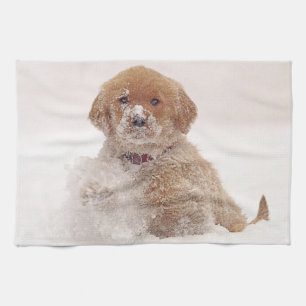 Golden Retriever Pup im Schnee Küchentuch