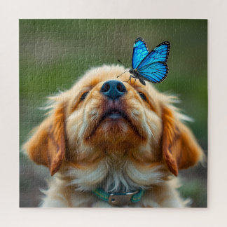 Golden Retriever Puppy