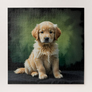Golden Retriever Puppy