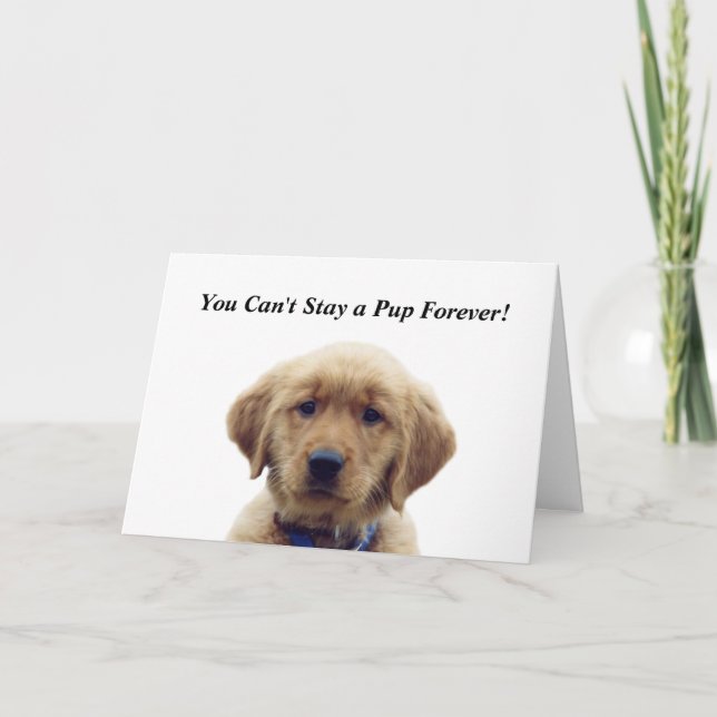 Golden Retriever Puppy Abschluss Card Karte (Vorderseite)
