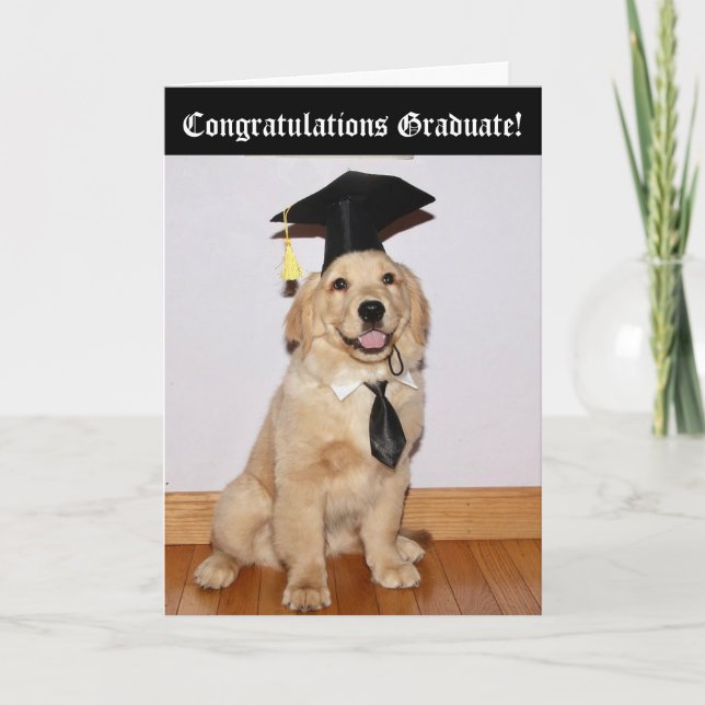 Golden Retriever Puppy Abschluss Karte (Vorderseite)