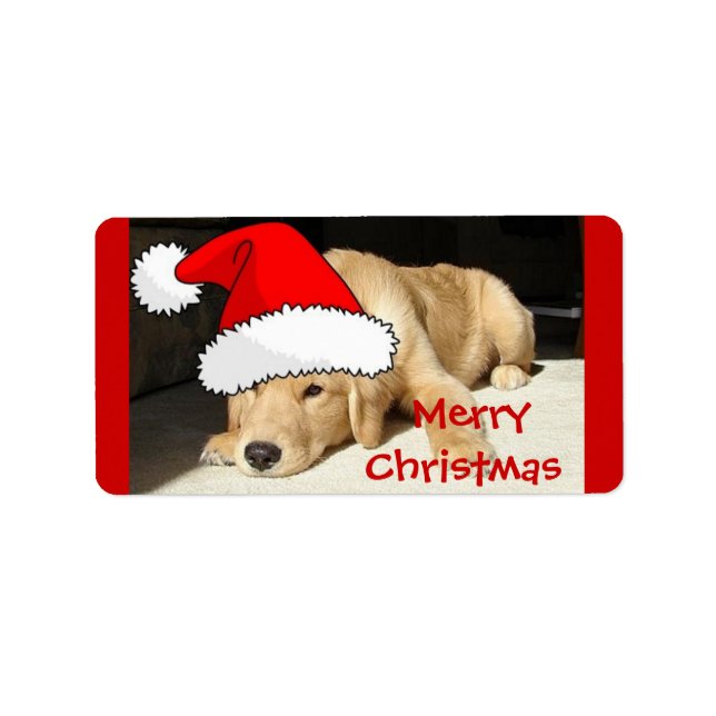 Golden Retriever Puppy Adressaufkleber (Vorne)