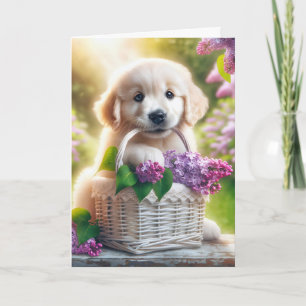 Golden Retriever Puppy am Muttertag mit Lilacs Karte
