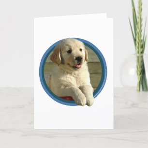 Golden Retriever Puppy Art Karte