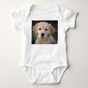 Golden Retriever Puppy Baby Strampler