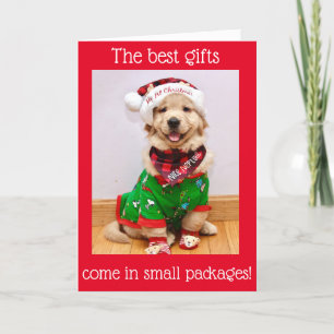 Golden Retriever Puppy Baby's 1. Weihnachten