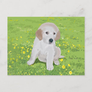 Golden Retriever Puppy Dock Postkarte