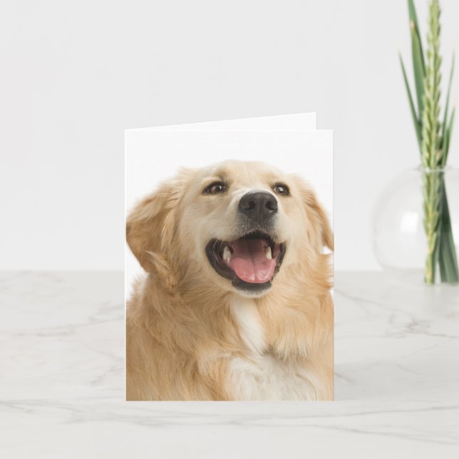Golden Retriever Puppy Dog Blank Greeting Notecard Karte (Vorderseite)