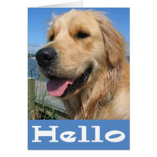 Golden Retriever Puppy Dose Blank