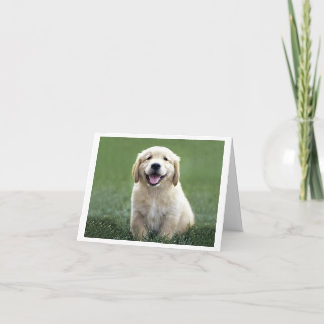 Golden Retriever Puppy Dose Blank Karte (Vorderseite)