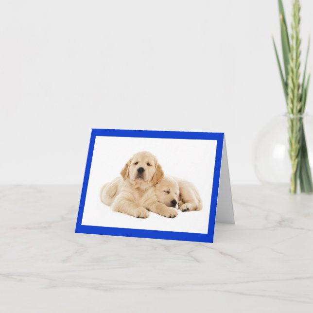 Golden Retriever Puppy Dose Blank Note Card Karte (Vorderseite)